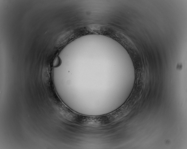 X0000100850702200807070933