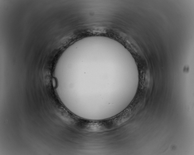 X0000100850704200807070933