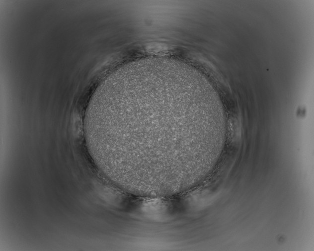 X0000100850705200807070933