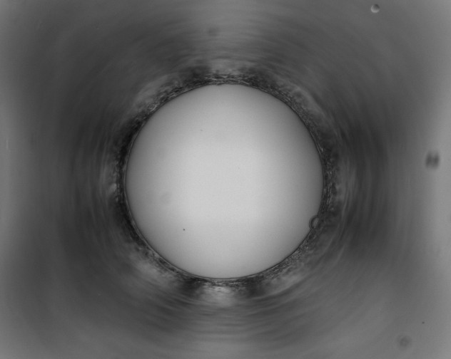 X0000100850706200807070933