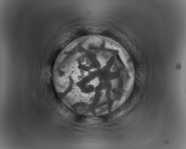 X0000100850707200807070933