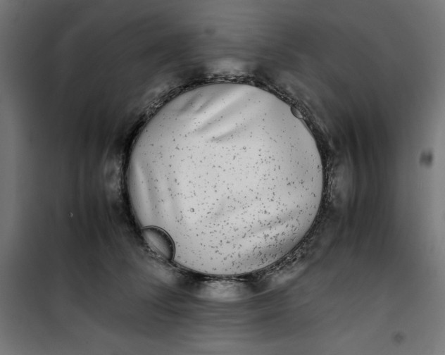 X0000100850708200807070933