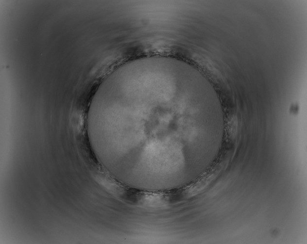 X0000100850709200807070933