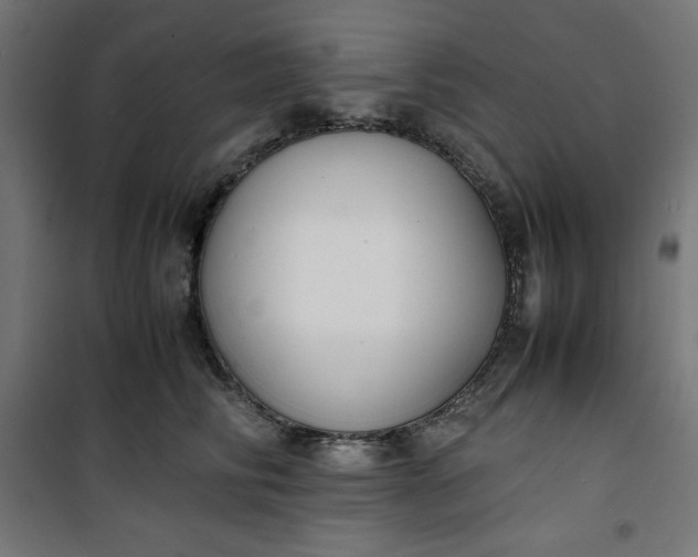 X0000100850710200807070933