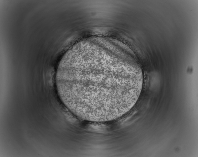 X0000100850712200807070933