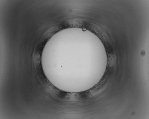 X0000100850713200807070933