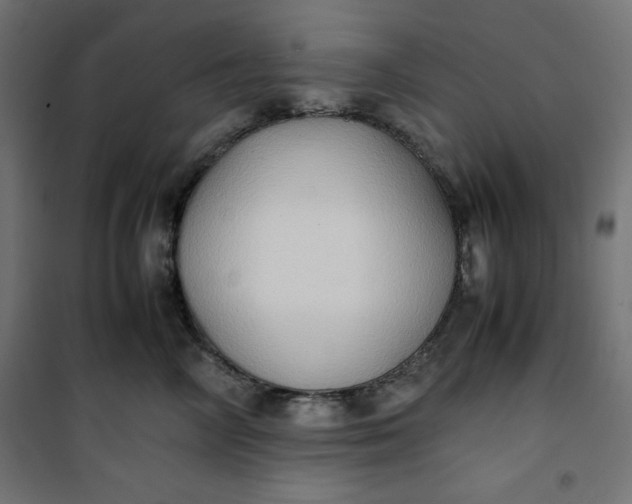 X0000100850714200807070933