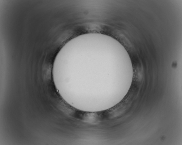 X0000100850717200807070933