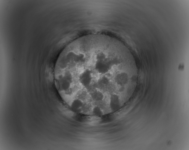 X0000100850719200807070933