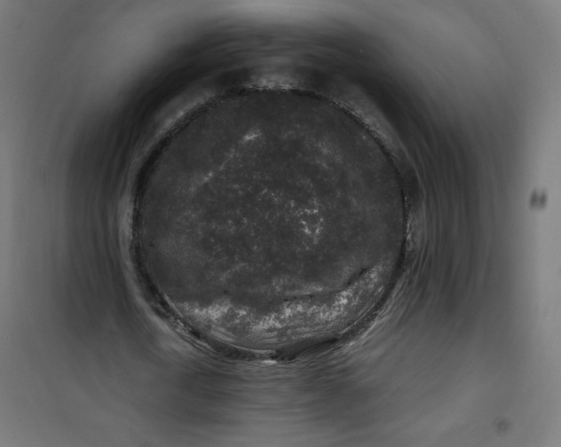 X0000100850722200807070932