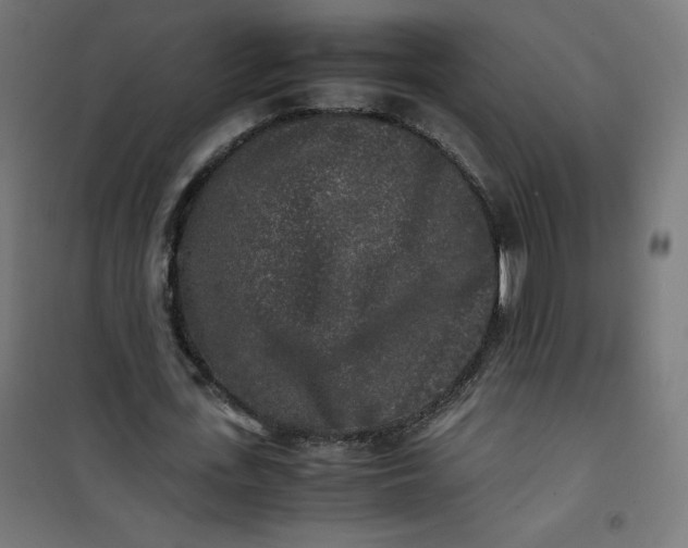 X0000100850723200807070932