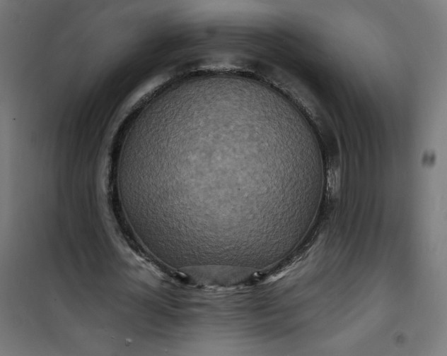 X0000100850724200807070932