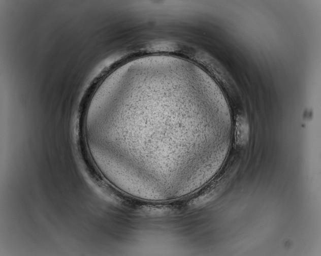 X0000100850726200807070932