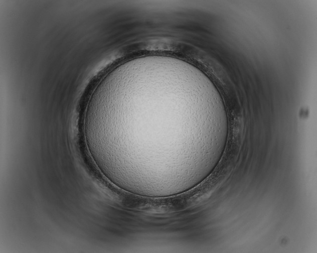 X0000100850727200807070932