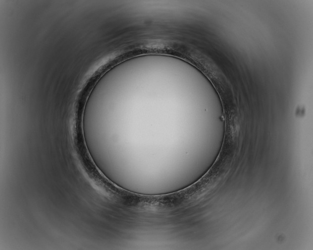 X0000100850728200807070932