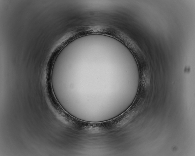 X0000100850730200807070932