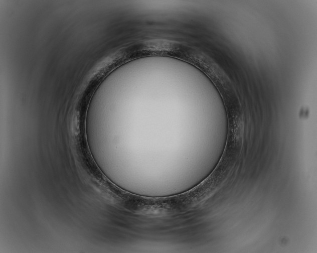 X0000100850731200807070932