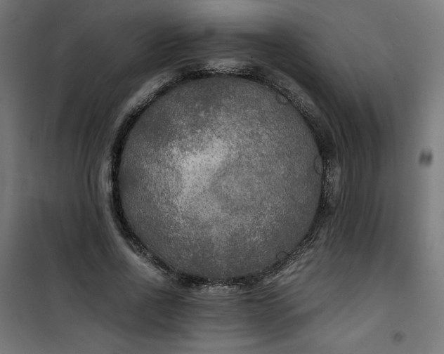 X0000100850734200807070932