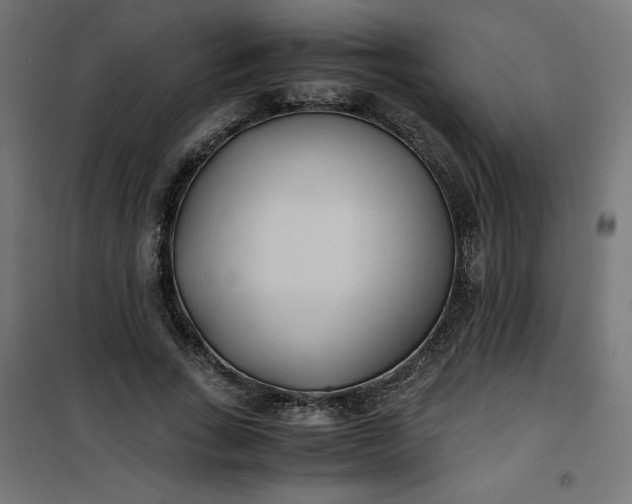 X0000100850735200807070932