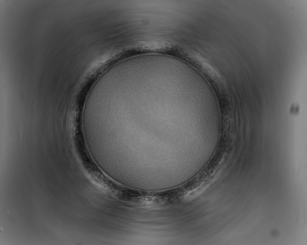 X0000100850736200807070932