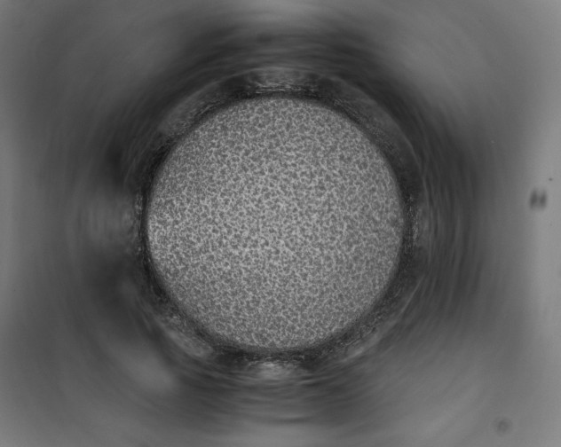 X0000100850737200807070932