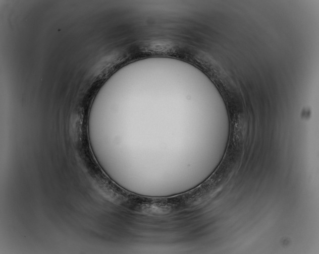 X0000100850739200807070932