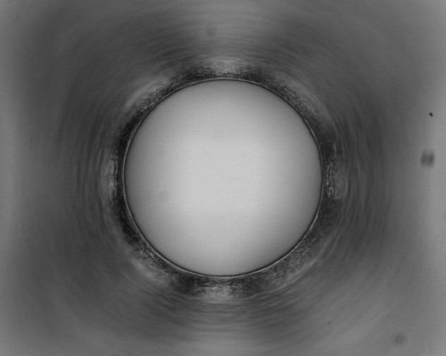 X0000100850740200807070932