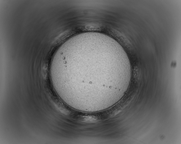 X0000100850741200807070932