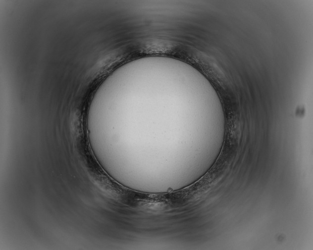 X0000100850743200807070932