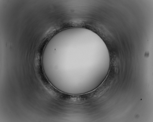 X0000100850744200807070932