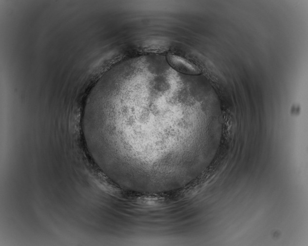 X0000100850745200807070932