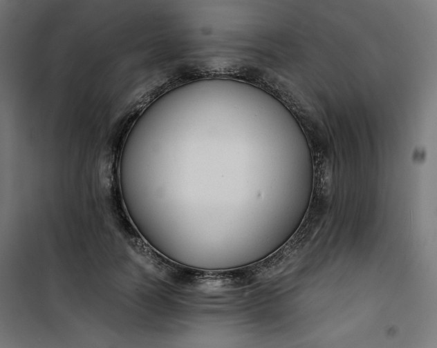 X0000100850746200807070932