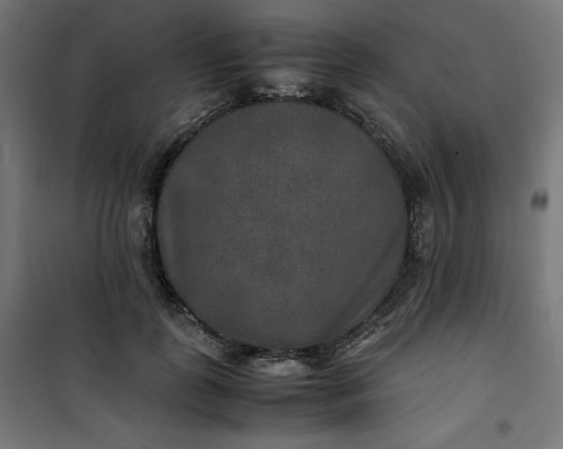 X0000100850747200807070932