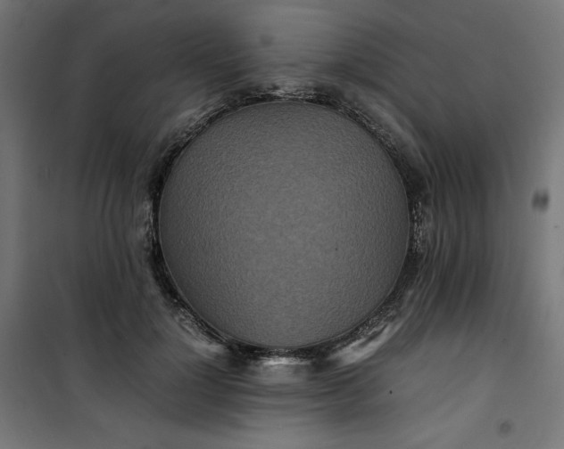 X0000100850748200807070932