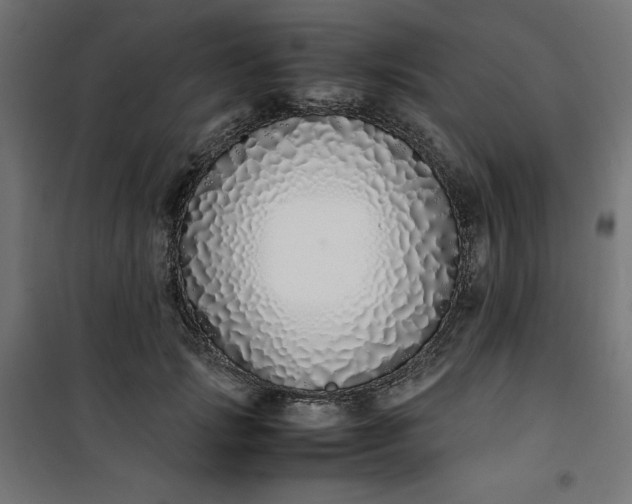 X0000100850749200807070932