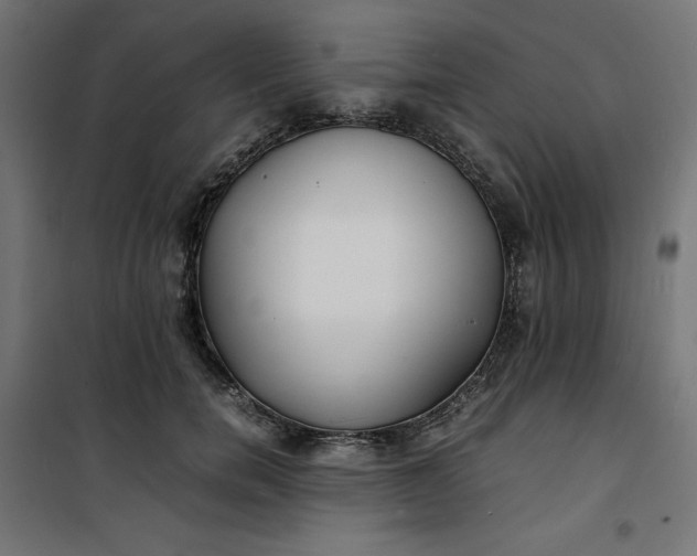 X0000100850750200807070932