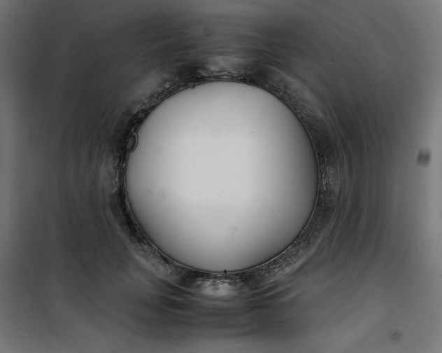 X0000100850751200807070932