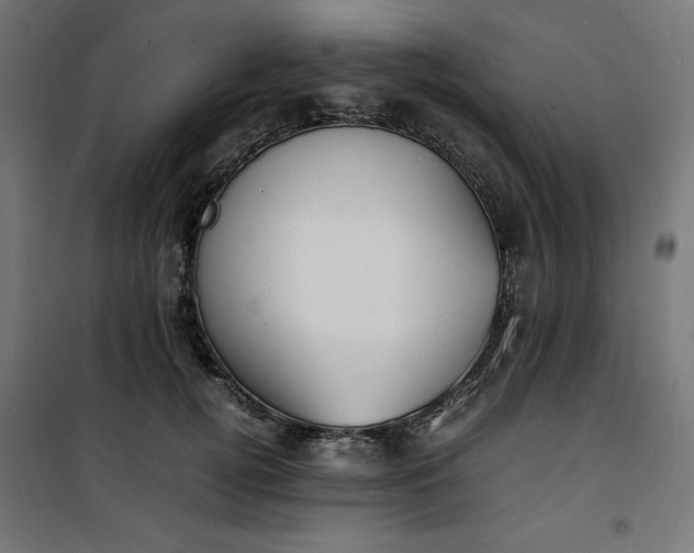 X0000100850752200807070932