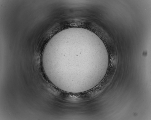 X0000100850753200807070932