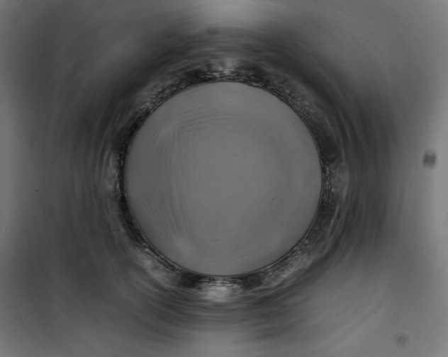 X0000100850754200807070933