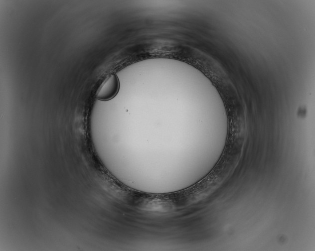 X0000100850755200807070933