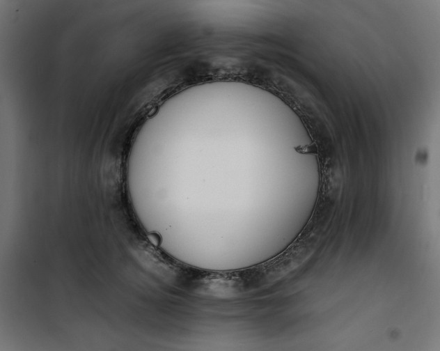 X0000100850756200807070933