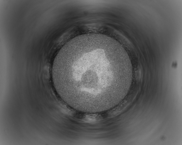 X0000100850757200807070933