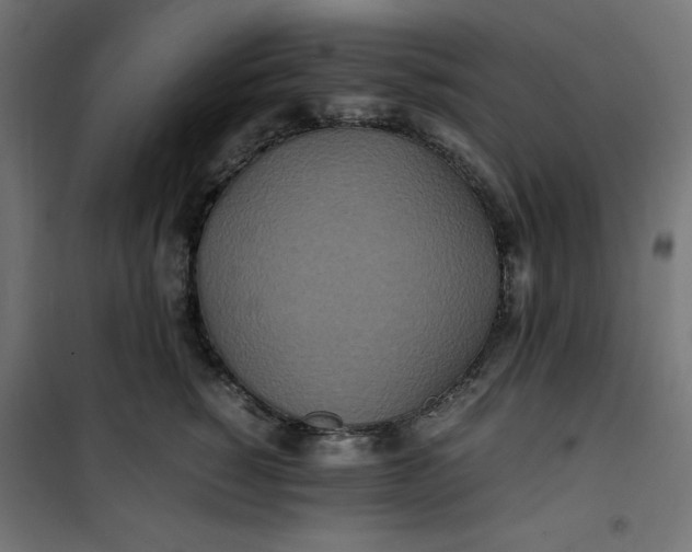 X0000100850760200807070933