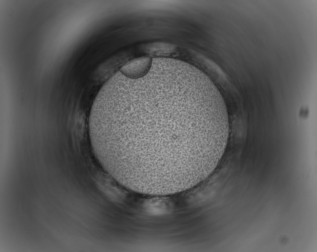 X0000100850761200807070933