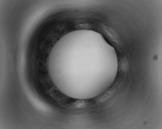 X0000100850764200807070933