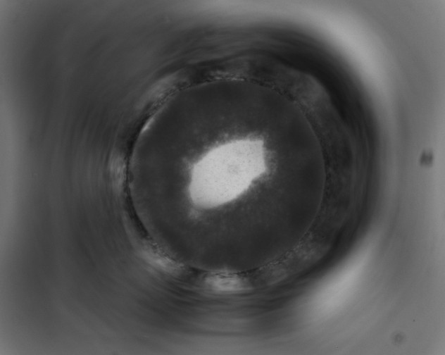 X0000100850767200807070933