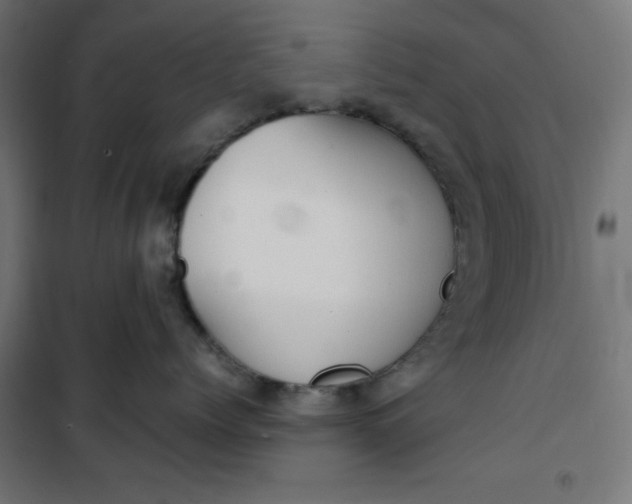 X0000100850768200807070933