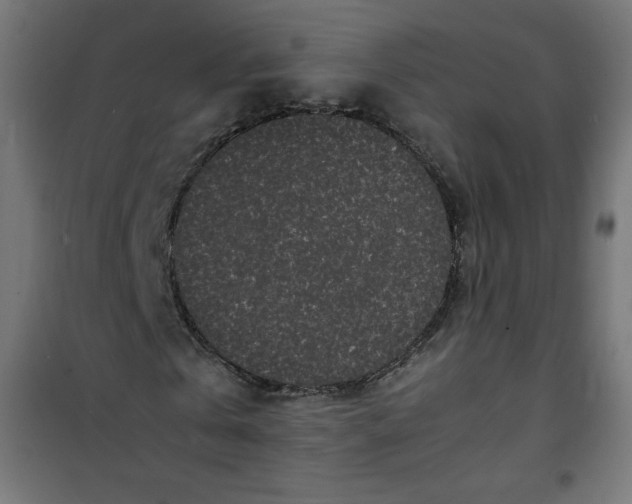 X0000100850769200807070932