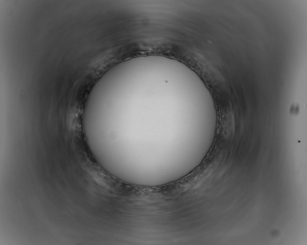 X0000100850770200807070932